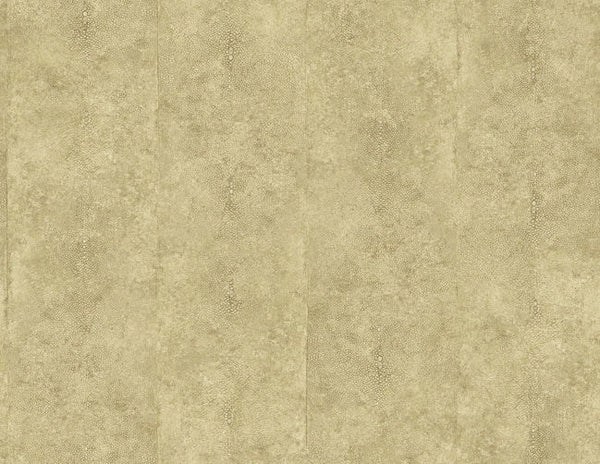 Wheat