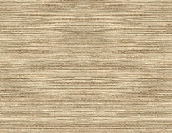 Color 3