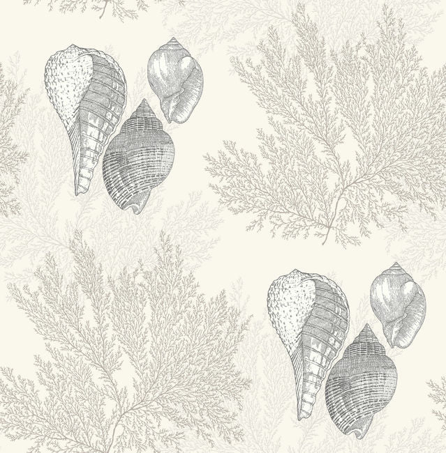 grays_nauset
