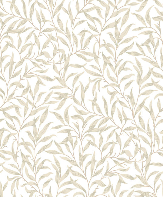 sand-dune_willow-leaf-trail