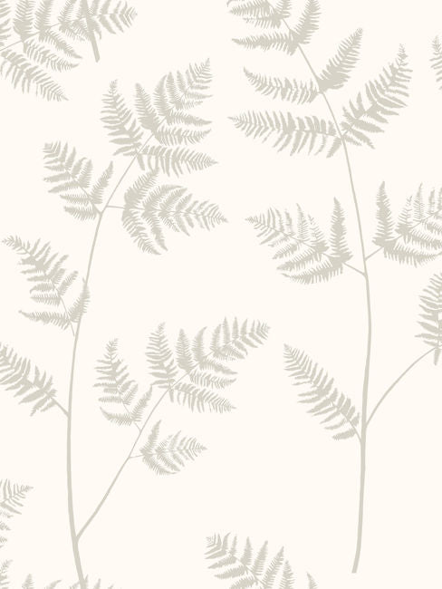soft-shadow_bracken