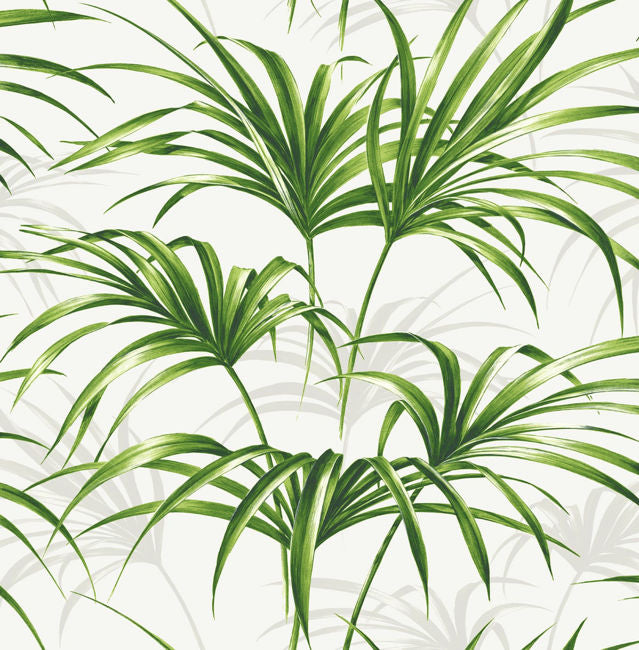 summer-fern_open-palm-leaf