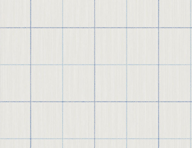 blues-2_string-on-window-pane-check
