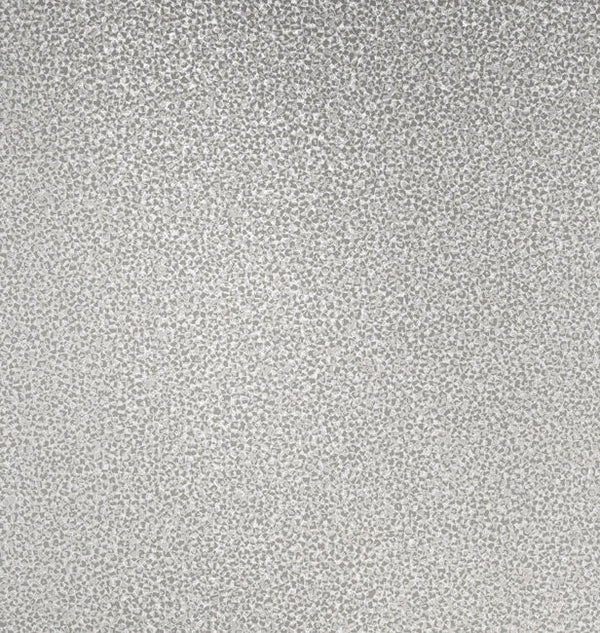 Dove Gray & Silver Glitter