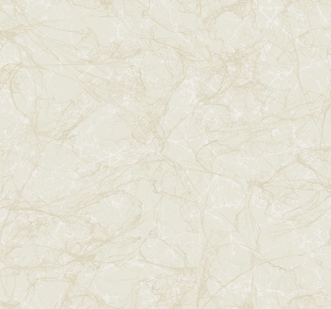 golds_spider-crackle