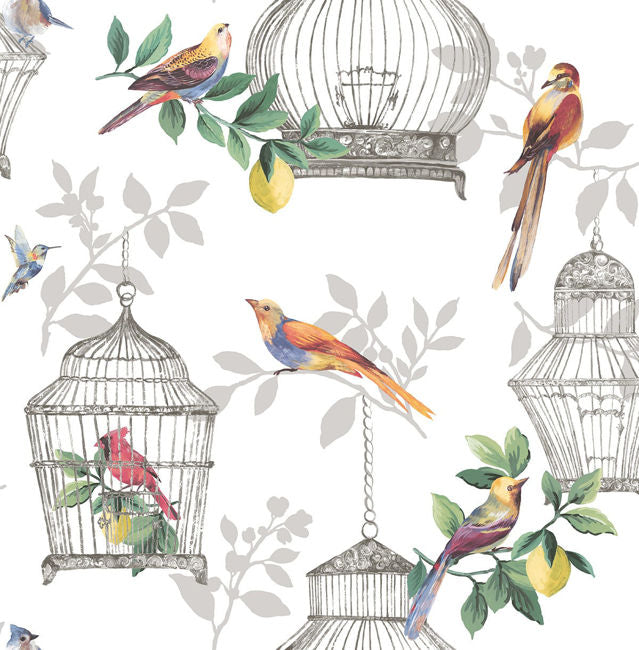 white_audubon