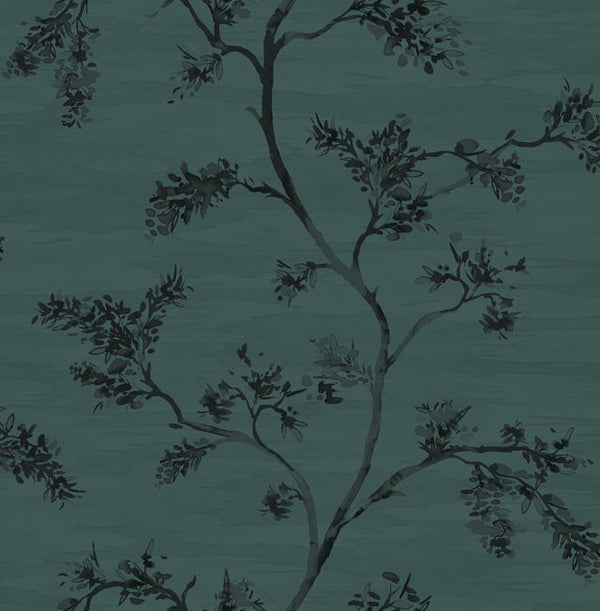 Aquas & Teals
