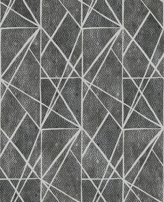 blacks_dots-and-lines