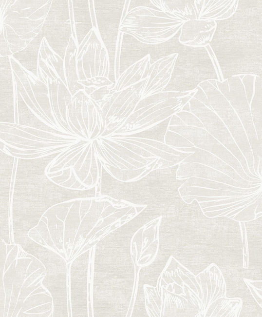 antique-pearl_kyoto-lily