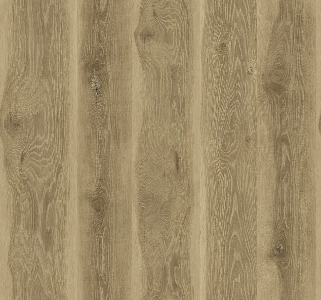 walnut_kieri