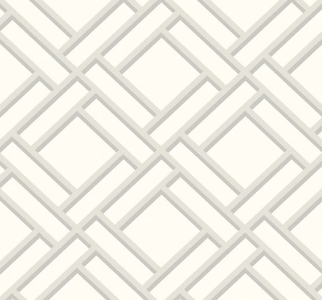 metallic-silver-and-eggshell_block-trellis