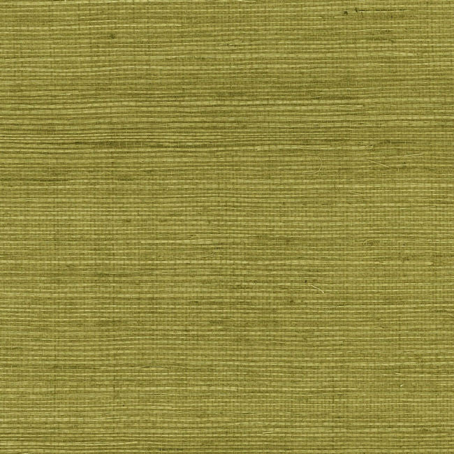 olive_olive-sisal