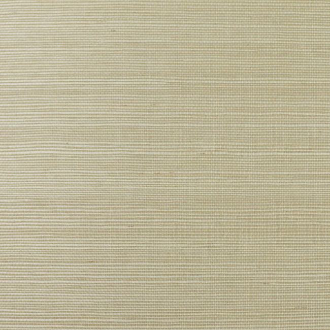 wheat-grass_wheat-grass-sisal