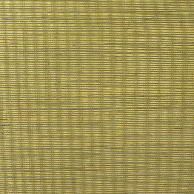 metallic-gold-and-aloe_metallic-gold-and-aloe-sisal