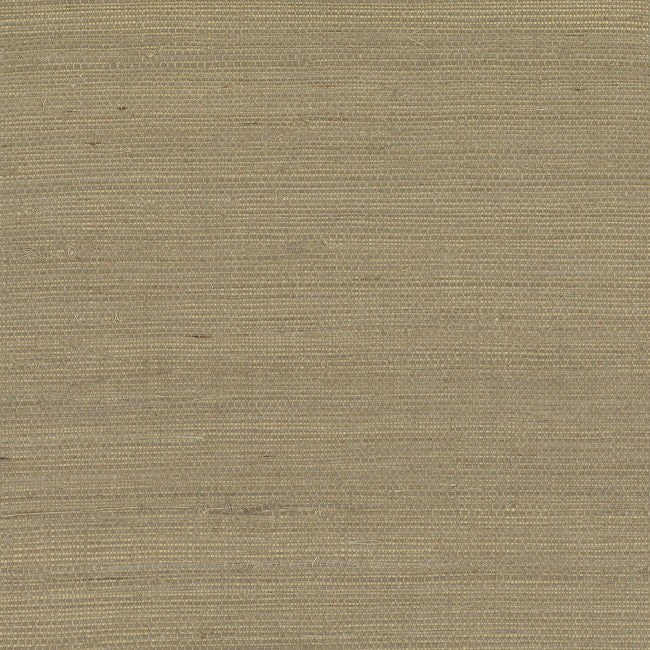 sandstorm_sandstorm-sisal
