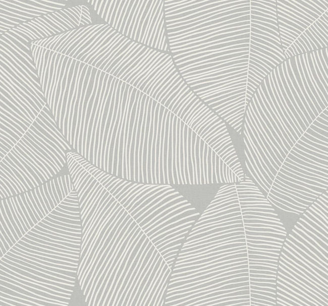 daydream-gray_summer-magnolia