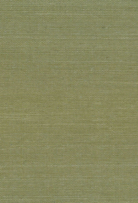 green_sisal-36-in-green