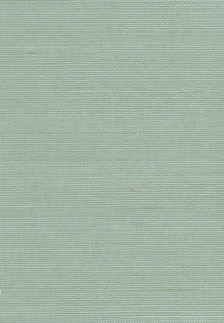 aqua_sisal-36-in-aqua