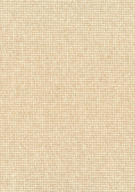neutral_paperweave-neutral