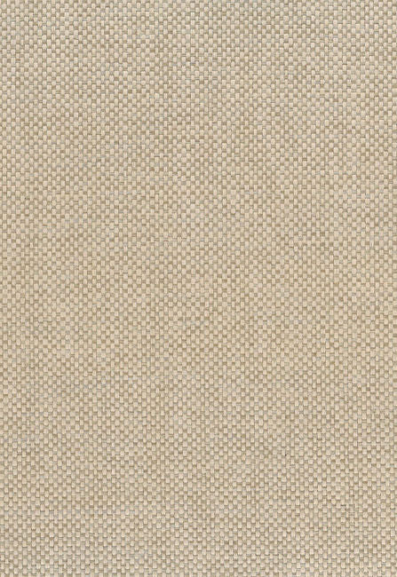 beige_paperweave-beige