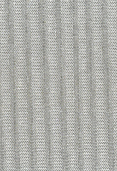 gray_paperweave-gray