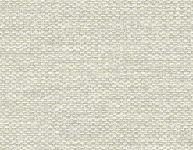 bagasse_calypso