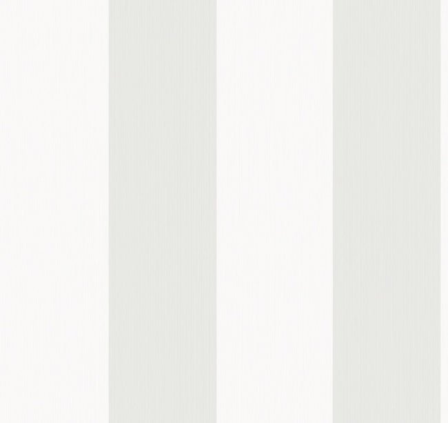 alaskan-grey_dylan