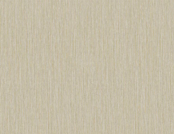 Birch Bark