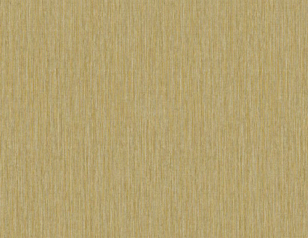 Sycamore