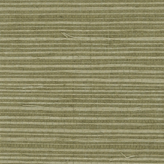 browns-taupes-4_natural-sisal