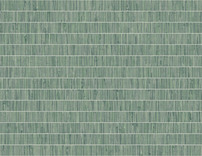 banana-leaf_blue-grass-band-questex
