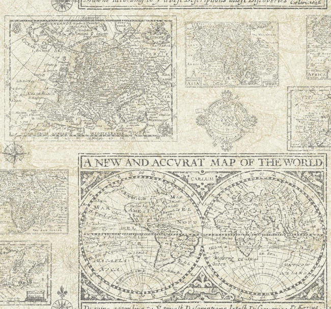 color-5_antique-map