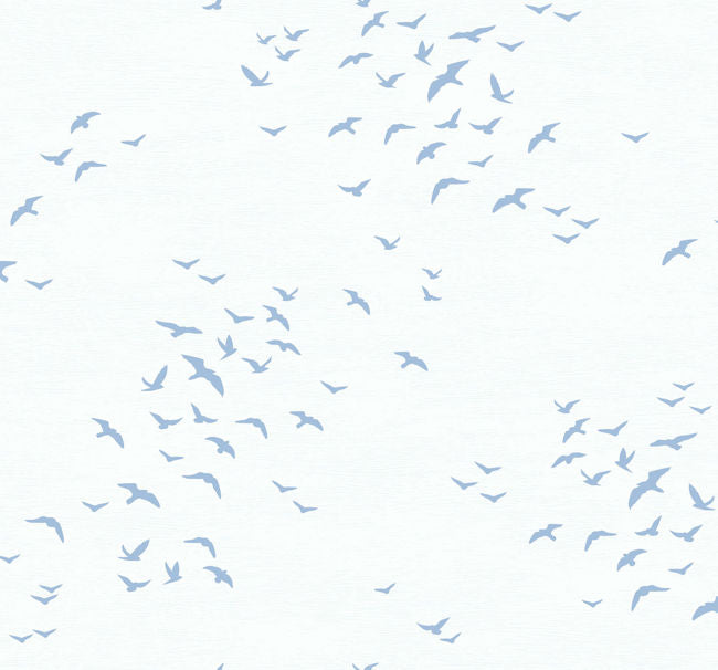 blues_bird-silhouettes