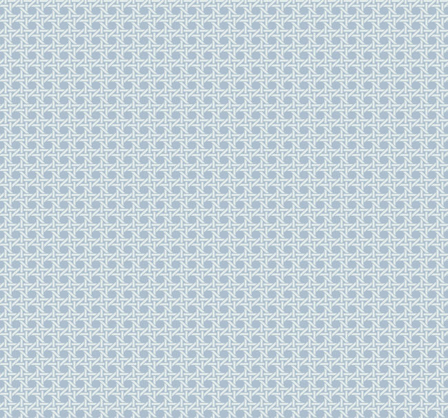 blues_wicker-screen-print-with-raised-inks