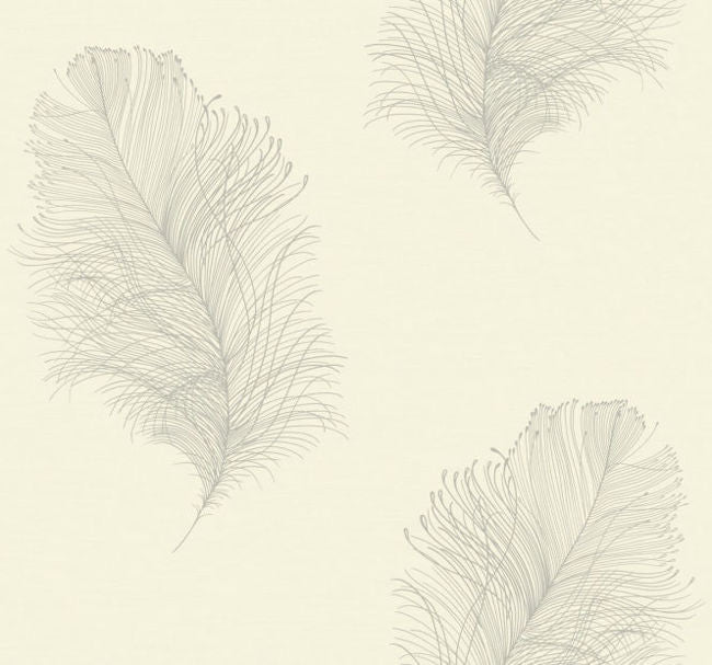 light-grey_galloway-light-grey