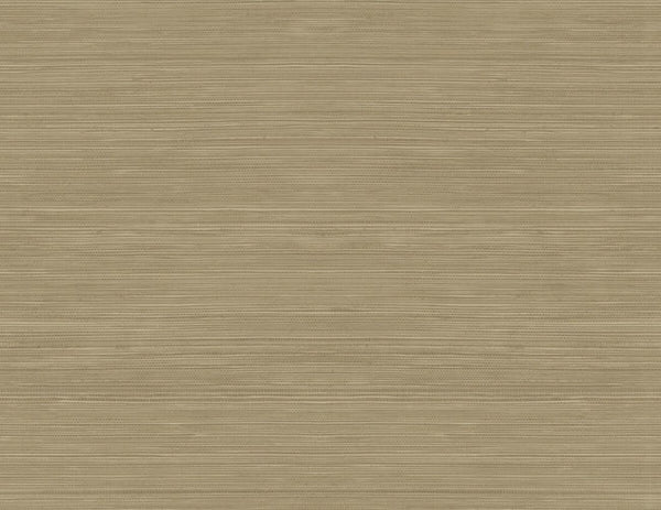 Browns & Taupes 1