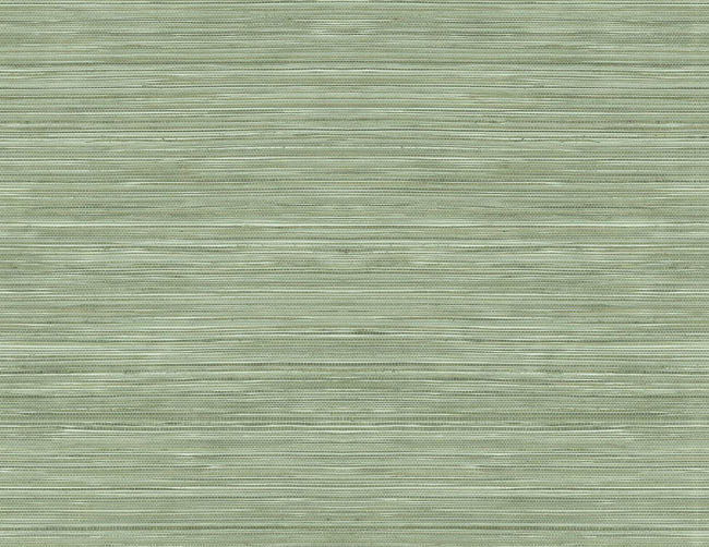 color_grasscloth-texture-27-in