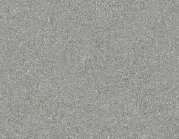 Iron