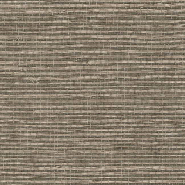browns-taupes-1_natural-sisal