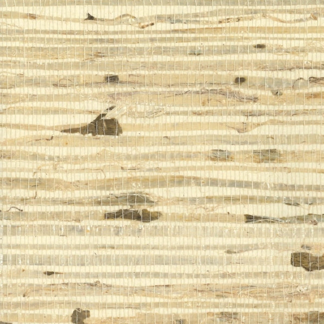 warm-neutrals-beiges_arrowroot