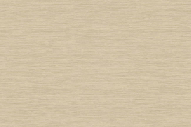 warm-desert_bazaar-plain