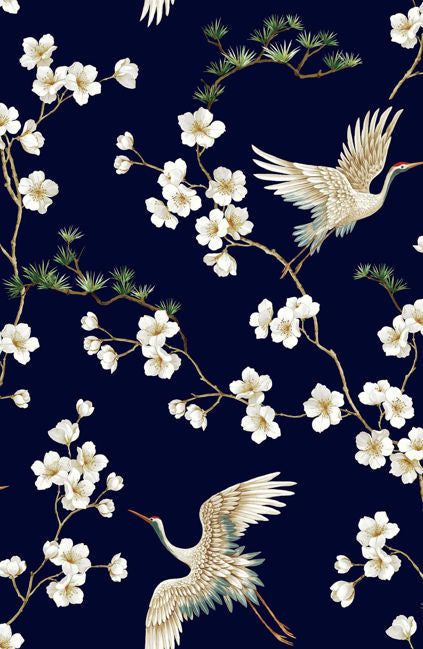 navy_swithins