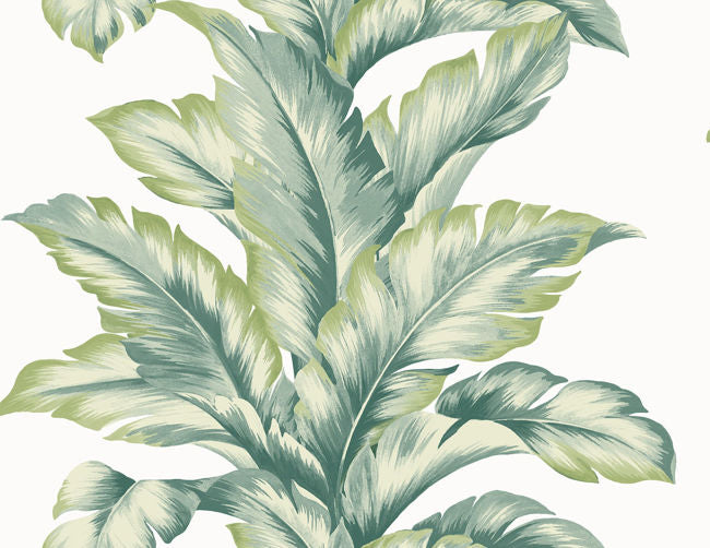 aloha-green_banana-springs-27-in