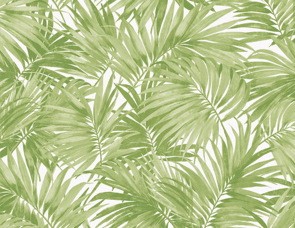 Spruce