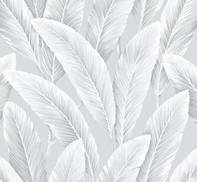 silver-lining_foliage-sisal