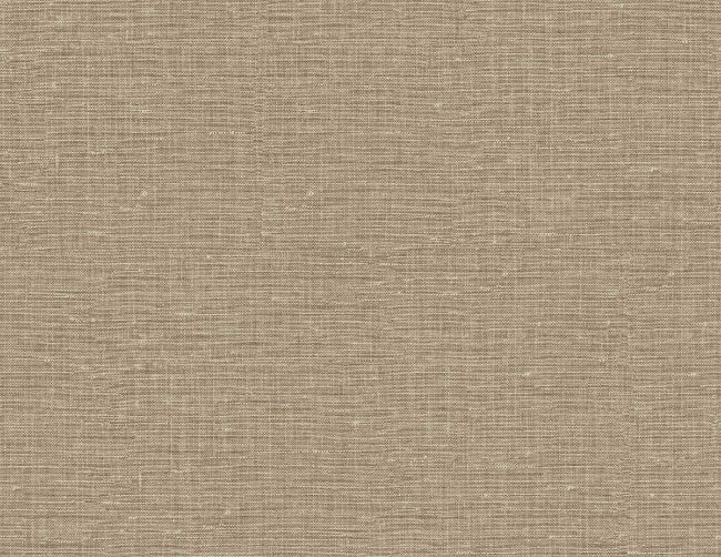 macadamia_nomi-54-macadamia