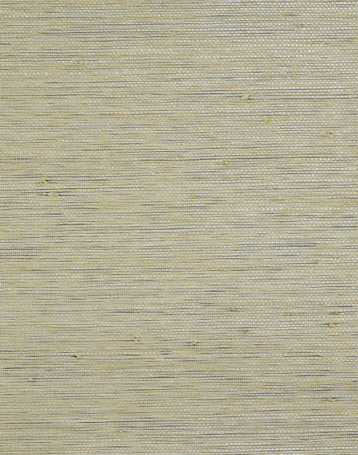 Silver Tan