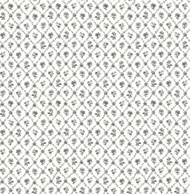 licorice_cossette-pelican-prints
