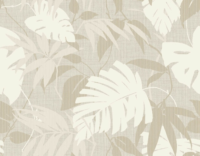 almond-wisp_pontoloc