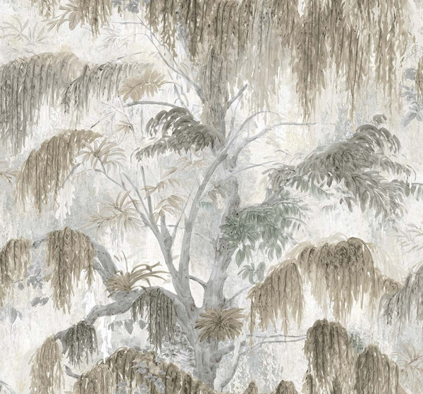 Fog